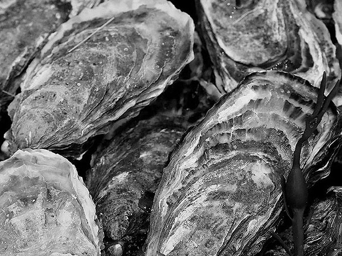 Иллюстрация к книге — Волшебное лето во Франции. Замки, фиалки и вишневый пирог [i_136.jpg]