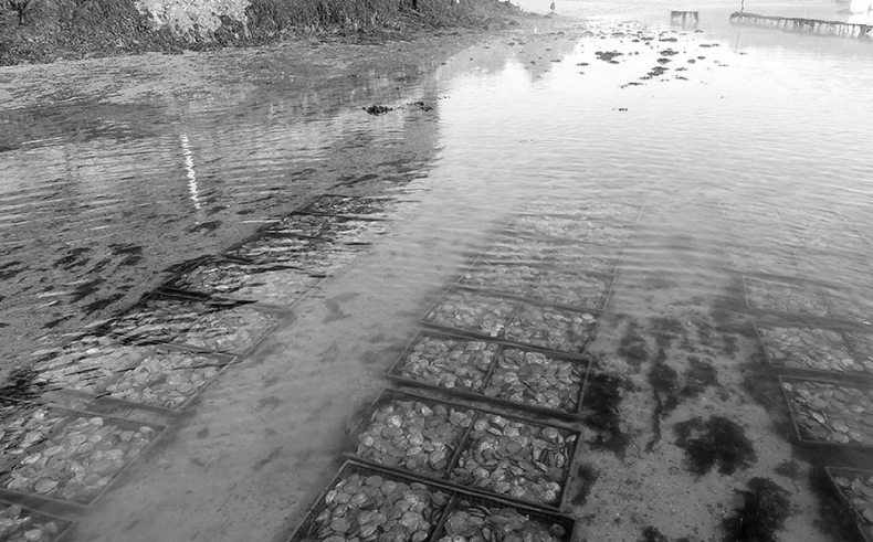 Иллюстрация к книге — Волшебное лето во Франции. Замки, фиалки и вишневый пирог [i_137.jpg]