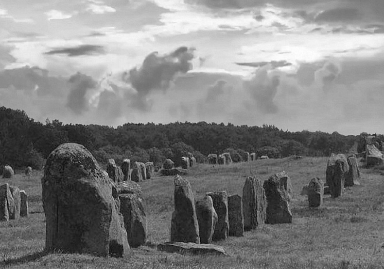 Иллюстрация к книге — Волшебное лето во Франции. Замки, фиалки и вишневый пирог [i_154.jpg]