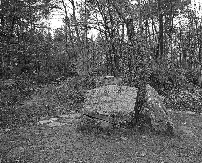 Иллюстрация к книге — Волшебное лето во Франции. Замки, фиалки и вишневый пирог [i_156.jpg]