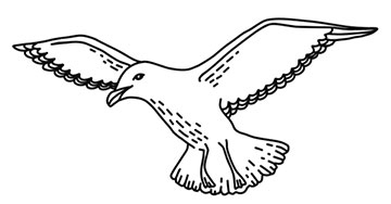 Иллюстрация к книге — Волшебное лето во Франции. Замки, фиалки и вишневый пирог [i_186.jpg]