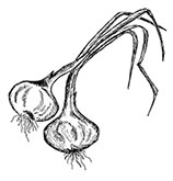 Иллюстрация к книге — Волшебное лето во Франции. Замки, фиалки и вишневый пирог [i_202.jpg]