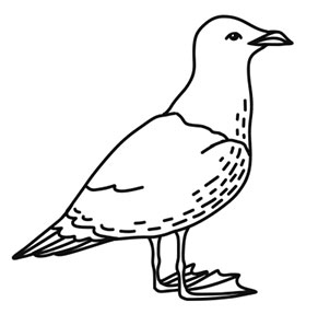 Иллюстрация к книге — Волшебное лето во Франции. Замки, фиалки и вишневый пирог [i_206.jpg]