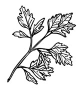 Иллюстрация к книге — Волшебное лето во Франции. Замки, фиалки и вишневый пирог [i_207.jpg]