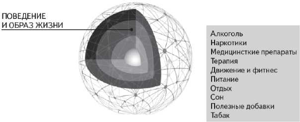 Иллюстрация к книге — Как работает исцеление. Как настроить внутренние ресурсы организма на выздоровление [image14.jpg]