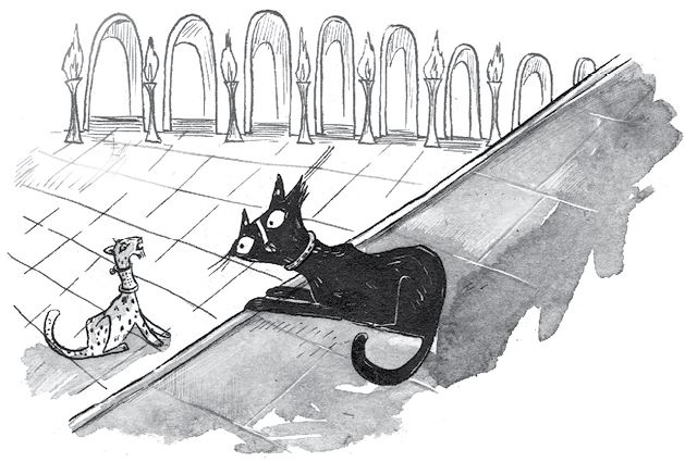 Иллюстрация к книге — Куда пропал амулет? [i_035.jpg]