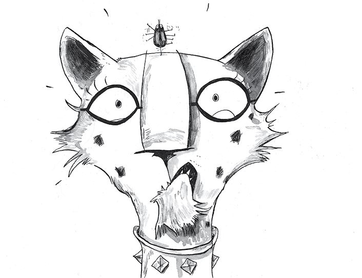 Иллюстрация к книге — Куда пропал амулет? [i_036.jpg]