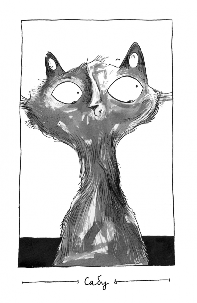 Иллюстрация к книге — Секрет гробницы фараона [i_008.jpg]