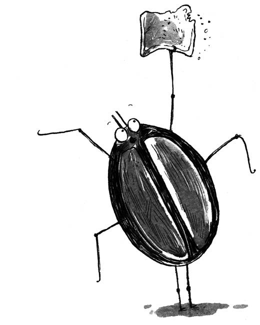 Иллюстрация к книге — Секрет гробницы фараона [i_012.jpg]