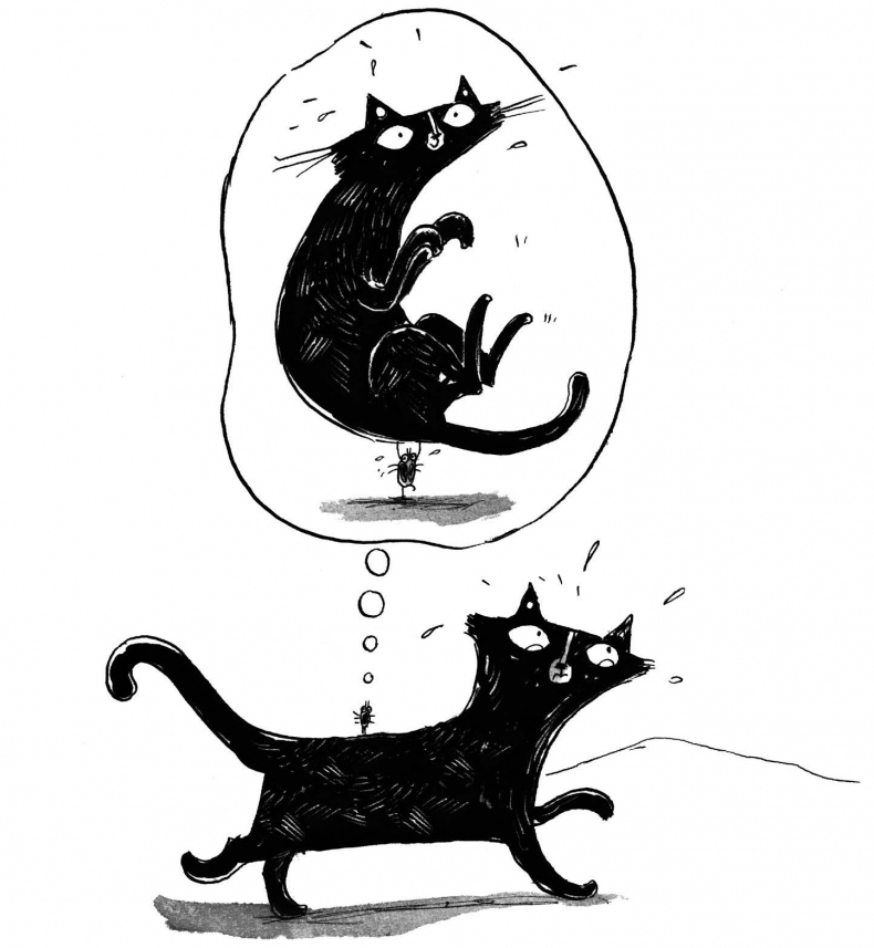 Иллюстрация к книге — Секрет гробницы фараона [i_016.jpg]