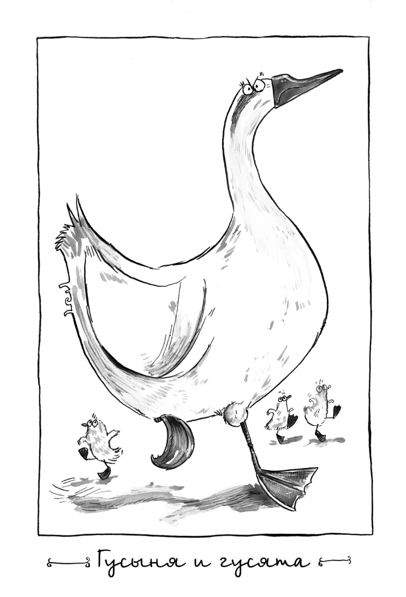 Иллюстрация к книге — Секрет гробницы фараона [i_028.jpg]