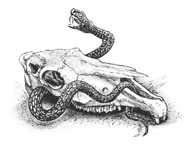 Иллюстрация к книге — Призрак в лунном свете [i_013.jpg]