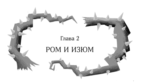 Иллюстрация к книге — Девочка в деревянных доспехах [i_003.jpg]