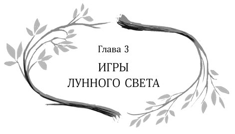 Иллюстрация к книге — Девочка в деревянных доспехах [i_004.jpg]