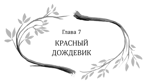 Иллюстрация к книге — Девочка в деревянных доспехах [i_008.jpg]