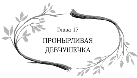 Иллюстрация к книге — Девочка в деревянных доспехах [i_018.jpg]