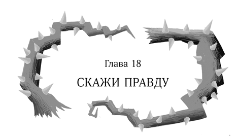 Иллюстрация к книге — Девочка в деревянных доспехах [i_019.jpg]
