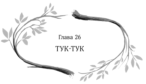 Иллюстрация к книге — Девочка в деревянных доспехах [i_027.jpg]