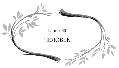Иллюстрация к книге — Девочка в деревянных доспехах [i_034.jpg]