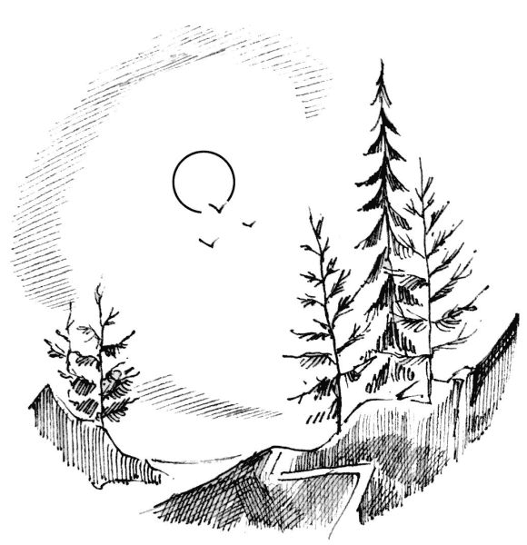 Иллюстрация к книге — За тридевять земель [i_010.jpg]