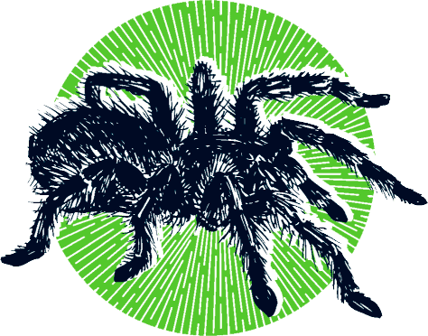 Иллюстрация к книге — Уоррен XIII и Шепчущий лес [i_078.jpg]