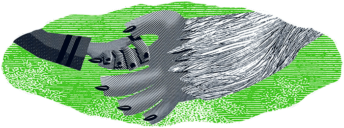 Иллюстрация к книге — Уоррен XIII и Шепчущий лес [i_126.jpg]
