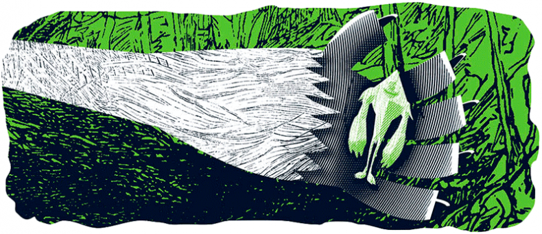 Иллюстрация к книге — Уоррен XIII и Шепчущий лес [i_130.jpg]