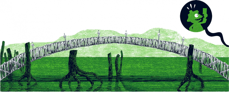 Иллюстрация к книге — Уоррен XIII и Шепчущий лес [i_139.jpg]