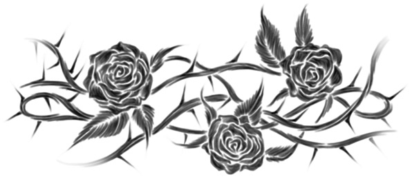 Иллюстрация к книге — Моя темная королева [i_011.jpg]