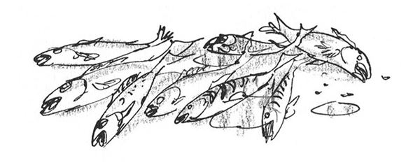 Иллюстрация к книге — Мальчик. Рассказы о детстве [i_032.jpg]