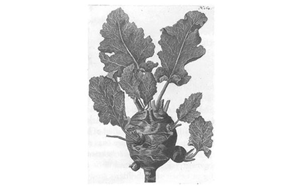 Иллюстрация к книге — Мальчик. Рассказы о детстве [i_079.jpg]