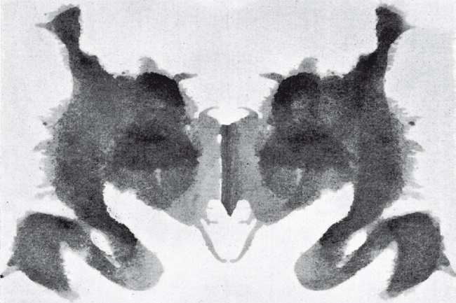 Иллюстрация к книге — Тест Роршаха. Герман Роршах, его тест и сила видения [img_21.jpg]