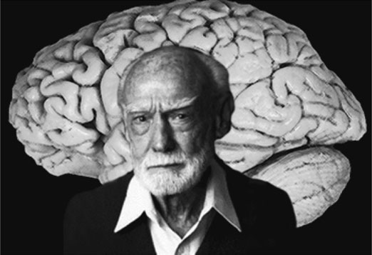 Иллюстрация к книге — Анатомия заблуждений. Большая книга по критическому мышлению [i_004.jpg]