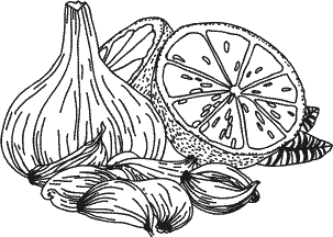 Иллюстрация к книге — Анатомия заблуждений. Большая книга по критическому мышлению [i_014.jpg]