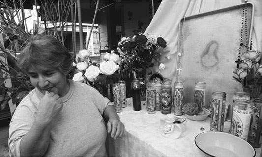 Иллюстрация к книге — Анатомия заблуждений. Большая книга по критическому мышлению [i_053.jpg]