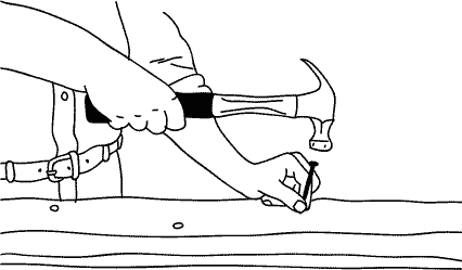 Иллюстрация к книге — Анатомия заблуждений. Большая книга по критическому мышлению [i_100.jpg]