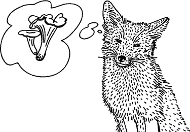 Иллюстрация к книге — Анатомия заблуждений. Большая книга по критическому мышлению [i_193.jpg]