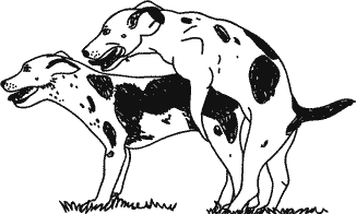 Иллюстрация к книге — Анатомия заблуждений. Большая книга по критическому мышлению [i_256.jpg]