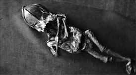 Иллюстрация к книге — Анатомия заблуждений. Большая книга по критическому мышлению [i_278.jpg]