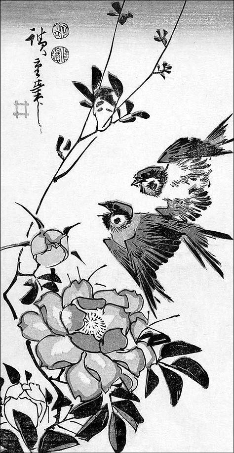 Иллюстрация к книге — Только роза [i_003.jpg]