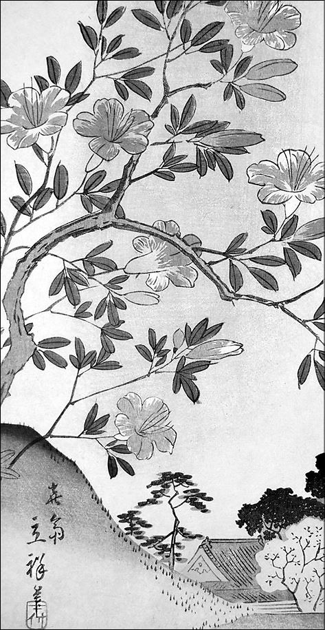 Иллюстрация к книге — Только роза [i_006.jpg]