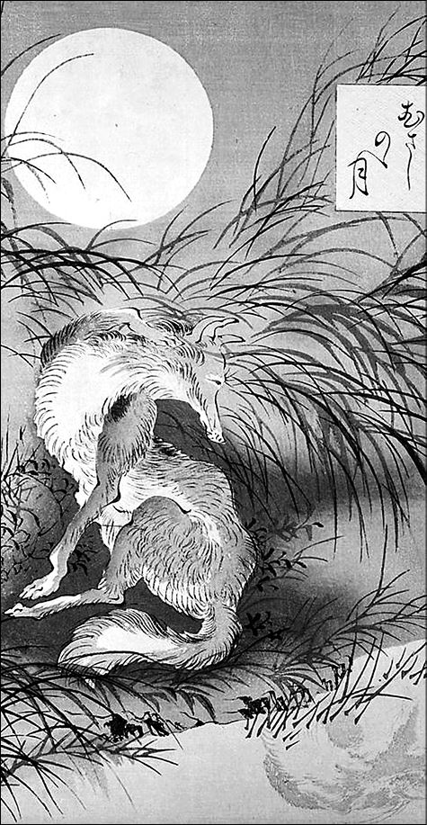 Иллюстрация к книге — Только роза [i_007.jpg]