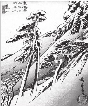 Иллюстрация к книге — Только роза [i_012.jpg]