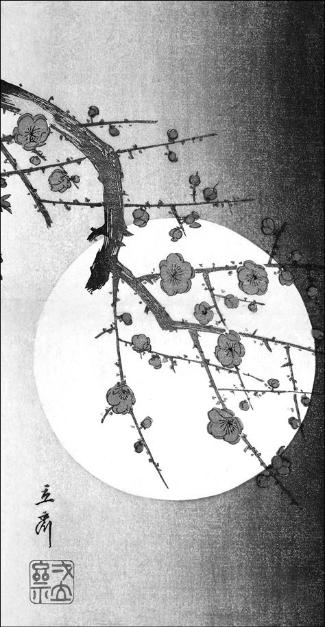 Иллюстрация к книге — Только роза [i_019.jpg]