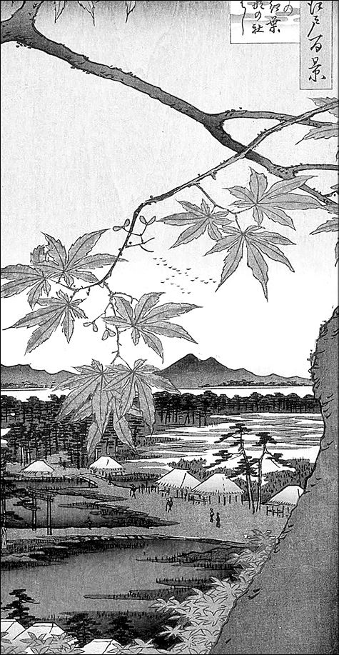 Иллюстрация к книге — Только роза [i_022.jpg]