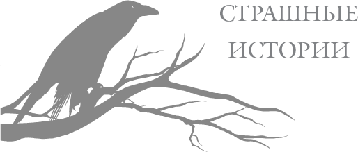 Иллюстрация к книге — Тайна дома Гленнон-Хайтс [i_001.jpg]