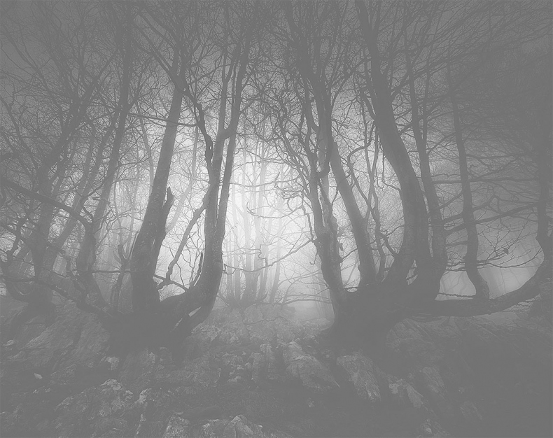 Иллюстрация к книге — Тайна дома Гленнон-Хайтс [i_004.jpg]