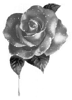 Иллюстрация к книге — Жажда и желание [i_001.jpg]