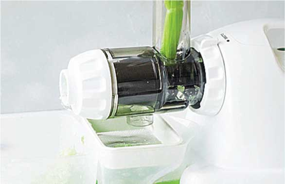 Иллюстрация к книге — Сок сельдерея. Природный эликсир энергии и здоровья [i_004.jpg]