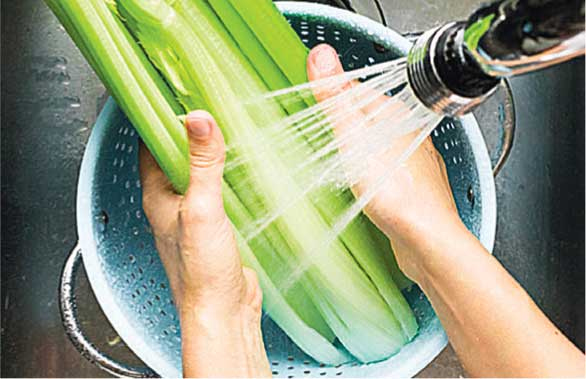 Иллюстрация к книге — Сок сельдерея. Природный эликсир энергии и здоровья [i_009.jpg]